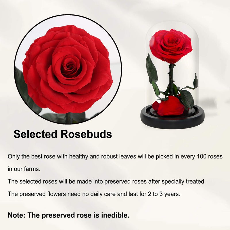 NATROSES Handmade Preserved Roses in Glass Dome, Red Roses, Preserved Flowers Gifts for Women, Mothers Day Flowers - Image 5